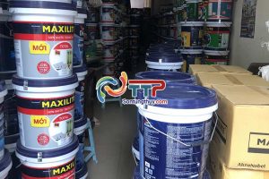 Sơn Tùng Thủy – đại lý sơn dulux, maxilite uy tín tại miền Bắc