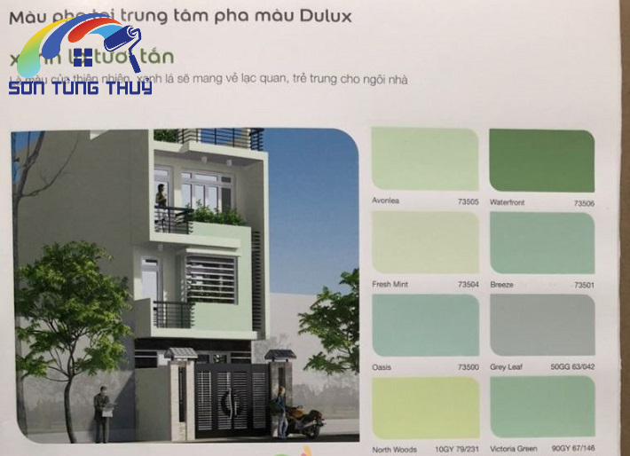 sơn nhà màu xanh cốm