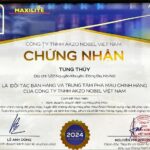 Sơn Tùng Thuỷ đối tác bán hàng trung tâm pha màu chính hãng Dulux – Maxilite