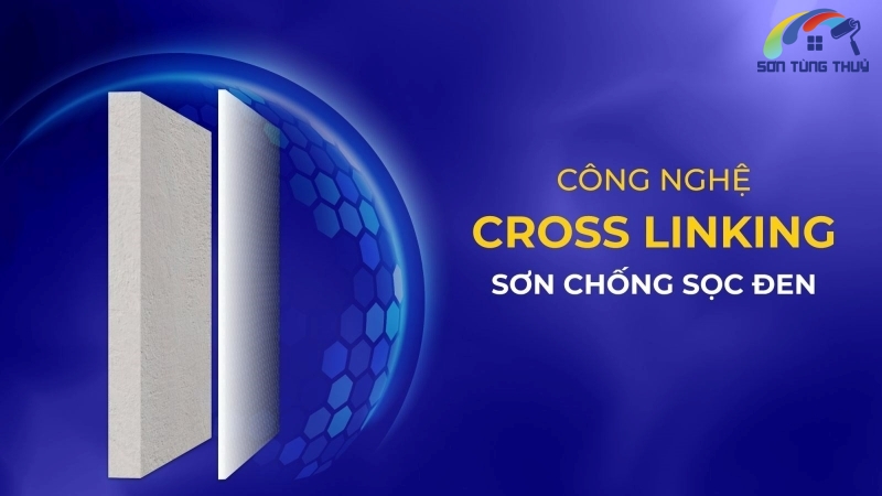 Công nghệ Cross-Linking sơn Dura