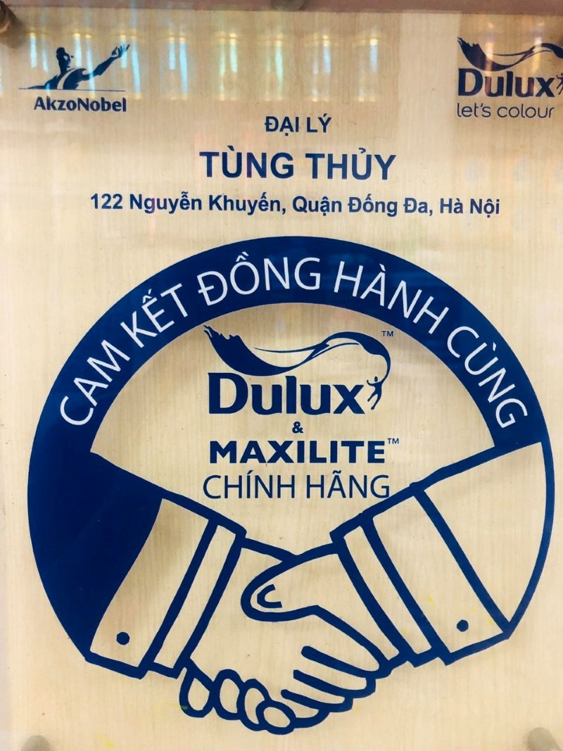 Ưu điểm khi mua sơn tại Sơn Tùng Thủy