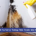 Dịch Vụ Xử Lý Tường Mốc Trước Khi Sơn – Tăng độ bền cho ngôi nhà