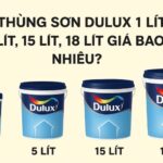 1 thùng sơn Dulux 1 lít, 5 lít, 15 lít, 18 lít giá bao nhiêu?