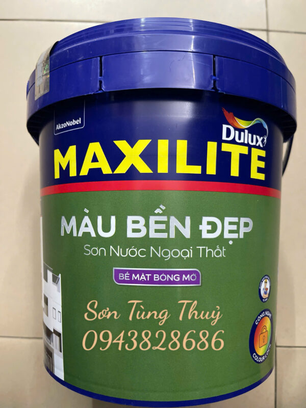 m60 mới